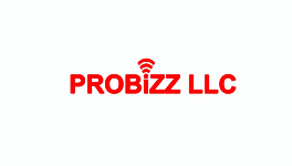 probizz LLC